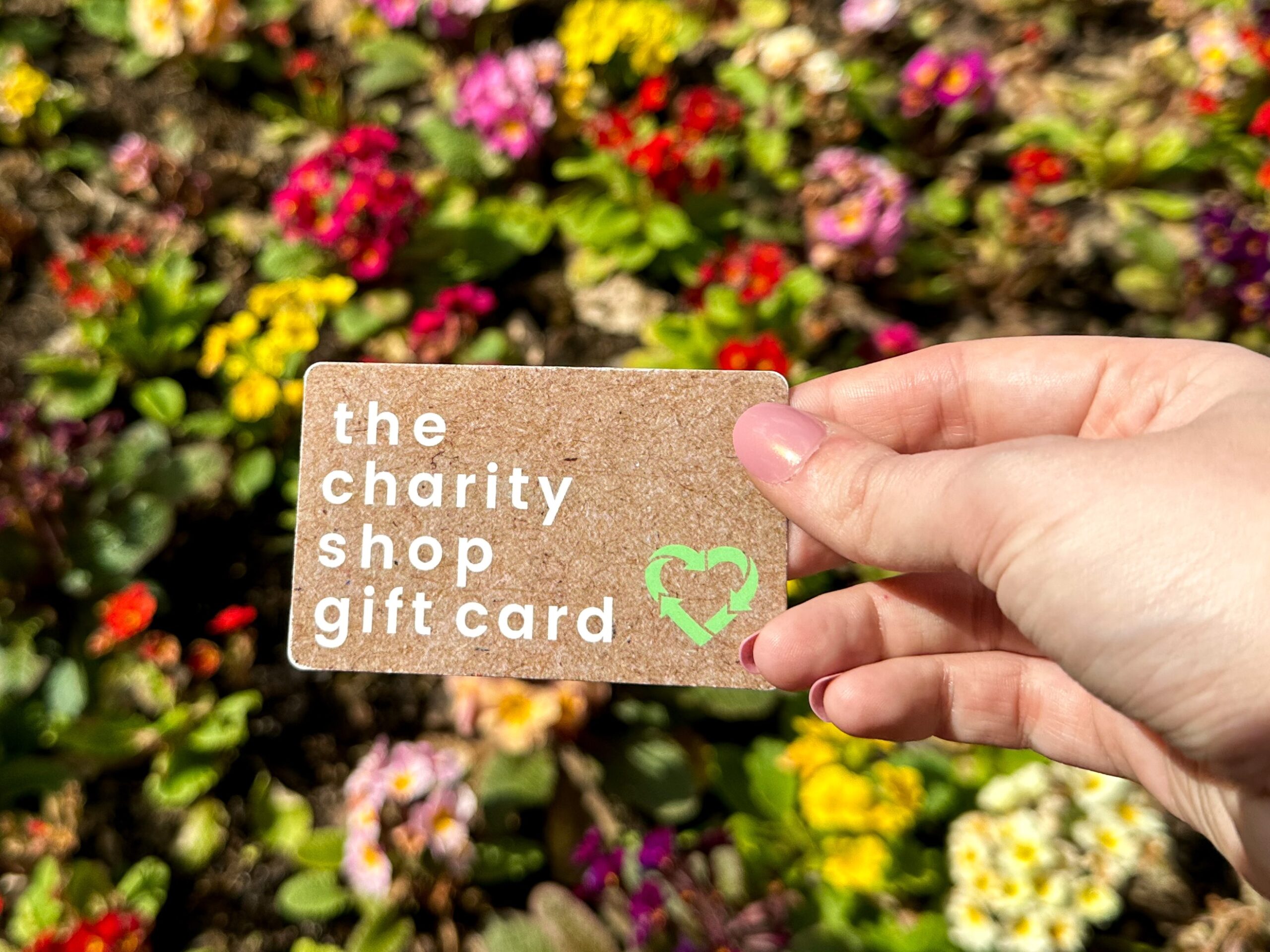 A hand holding up a chairty shop gift card with a flowery bush in the background